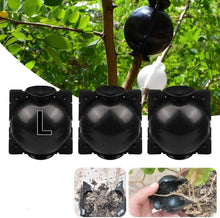 Load image into Gallery viewer, Plant Root Growing Box
